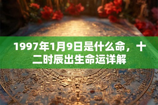 1997年1月9日是什么命，十二时辰出生命运详解