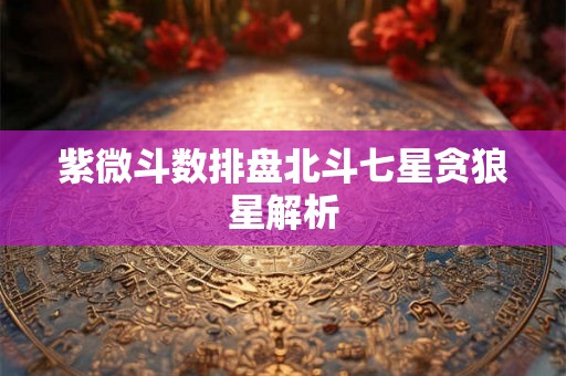 紫微斗数排盘北斗七星贪狼星解析