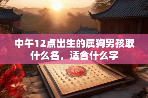 中午12点出生的属狗男孩取什么名，适合什么字