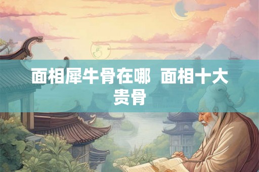 面相犀牛骨在哪  面相十大贵骨