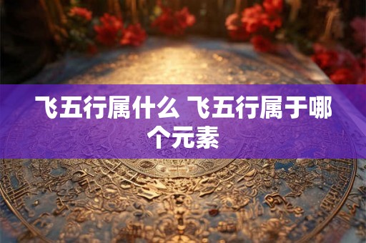 飞五行属什么 飞五行属于哪个元素 飞五行属什么 飞五行属于哪个元素