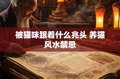 被猫咪跟着什么兆头 养猫风水禁忌