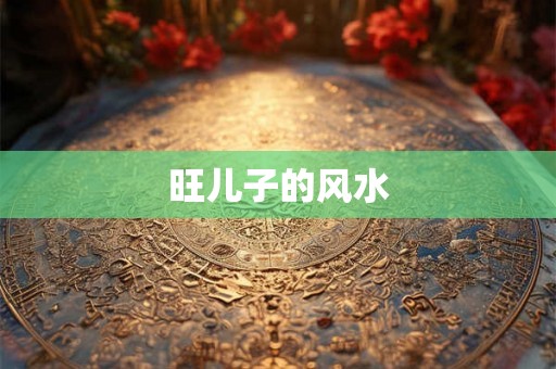 旺儿子的风水
