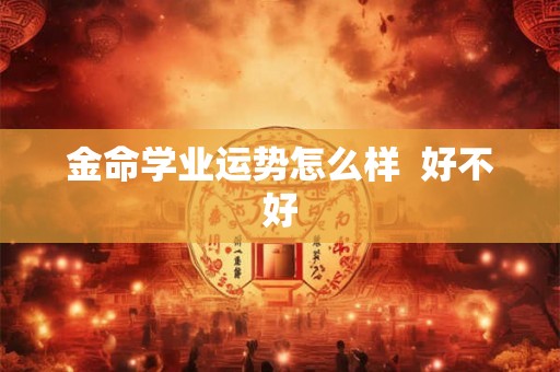 金命学业运势怎么样  好不好