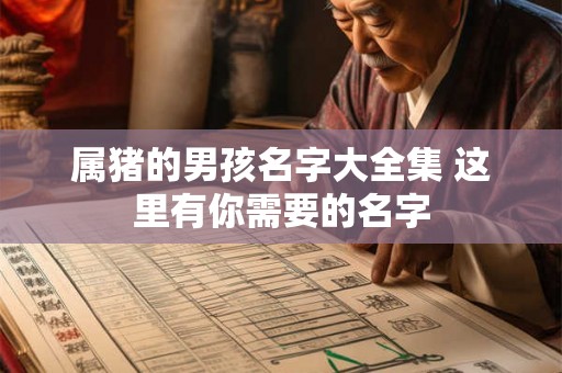 属猪的男孩名字大全集 这里有你需要的名字