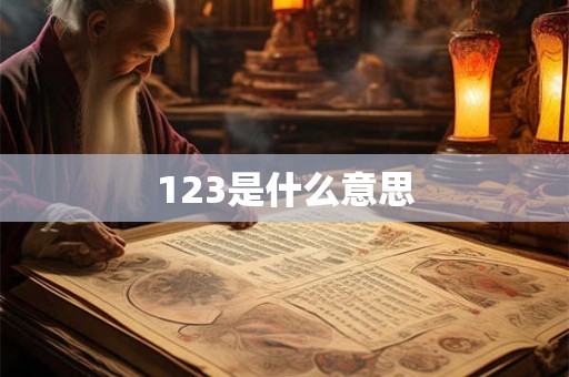 123是什么意思