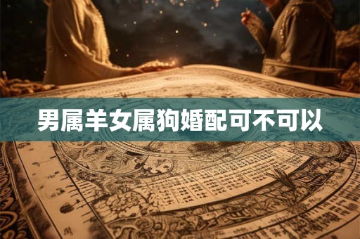 男属羊女属狗婚配可不可以