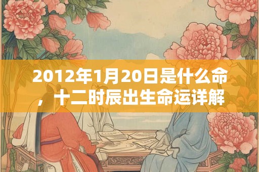 2012年1月20日是什么命，十二时辰出生命运详解