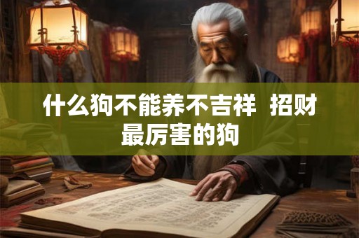 什么狗不能养不吉祥  招财最厉害的狗