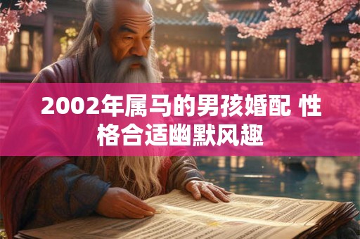2002年属马的男孩婚配 性格合适幽默风趣