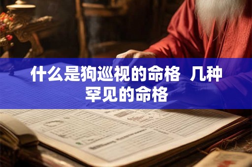 什么是狗巡视的命格  几种罕见的命格