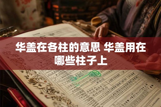华盖在各柱的意思 华盖用在哪些柱子上