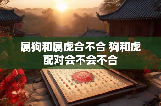 属狗和属虎合不合 狗和虎配对会不会不合 属狗和属虎合不合 狗和虎配对会不会不合