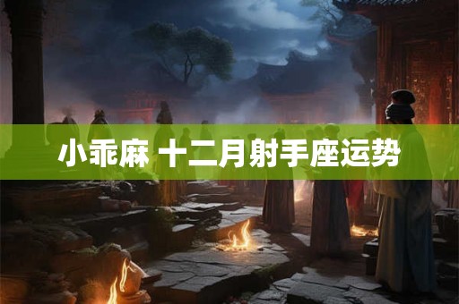 小乖麻 十二月射手座运势