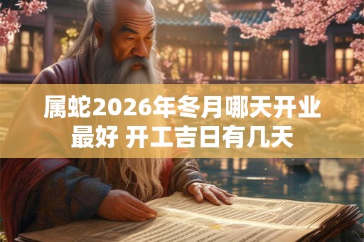 属蛇2026年冬月哪天开业最好 开工吉日有几天