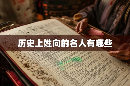 历史上姓向的名人有哪些