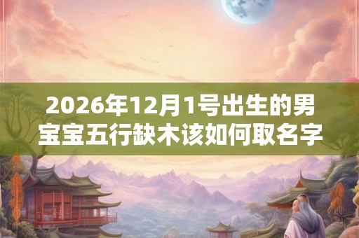 2026年12月1号出生的男宝宝五行缺木该如何取名字