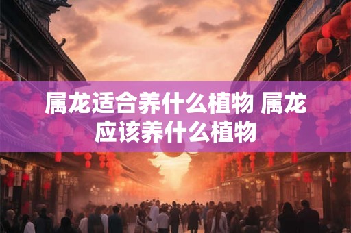 属龙适合养什么植物 属龙应该养什么植物