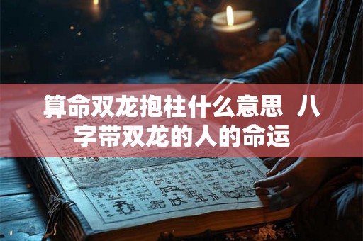 算命双龙抱柱什么意思  八字带双龙的人的命运