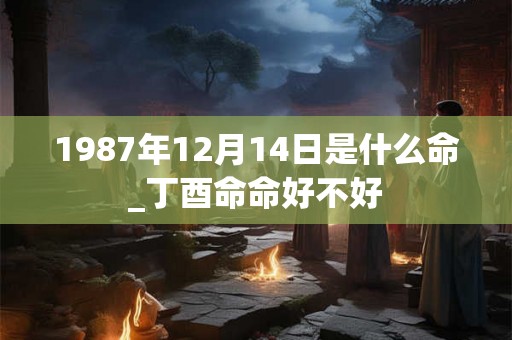 1987年12月14日是什么命_丁酉命命好不好