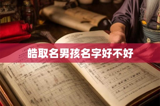 皓取名男孩名字好不好