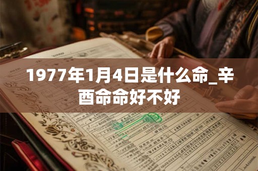 1977年1月4日是什么命_辛酉命命好不好