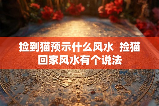 捡到猫预示什么风水  捡猫回家风水有个说法