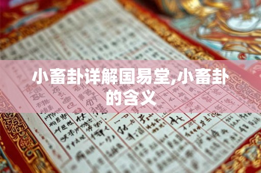 小畜卦详解国易堂,小畜卦的含义