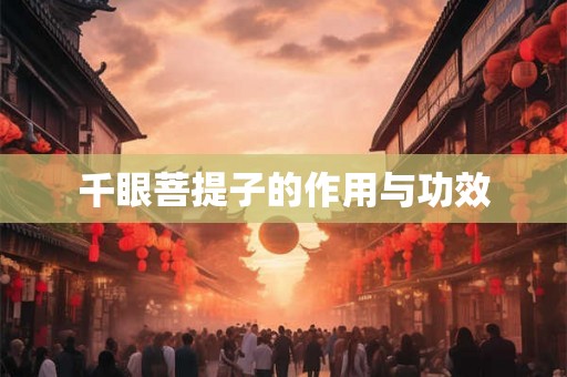 千眼菩提子的作用与功效