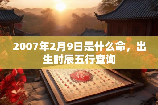 2007年2月9日是什么命，出生时辰五行查询