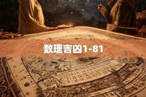 数理吉凶1-81