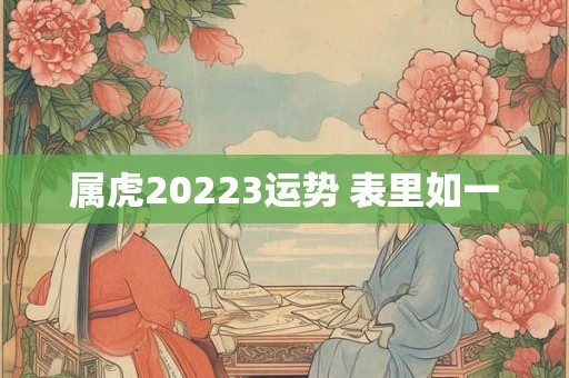 属虎20223运势 表里如一