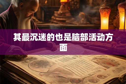 其最沉迷的也是脑部活动方面 其最沉迷的也是脑部活动方面