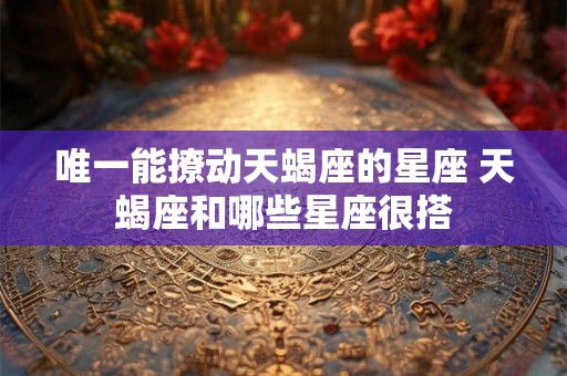 唯一能撩动天蝎座的星座 天蝎座和哪些星座很搭