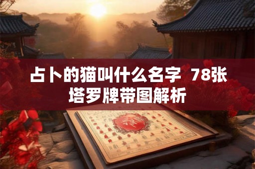 占卜的猫叫什么名字  78张塔罗牌带图解析