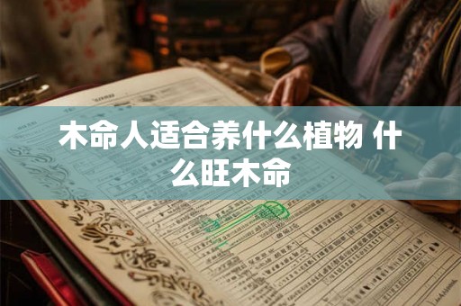 木命人适合养什么植物 什么旺木命
