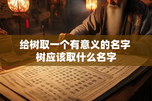 给树取一个有意义的名字 树应该取什么名字