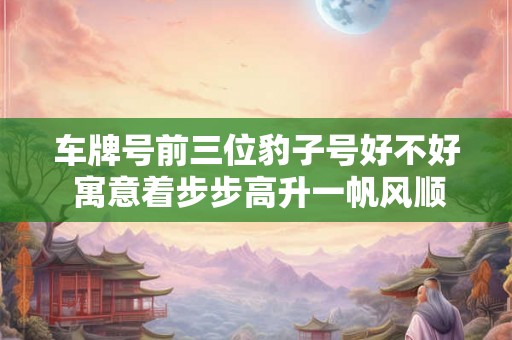 车牌号前三位豹子号好不好 寓意着步步高升一帆风顺