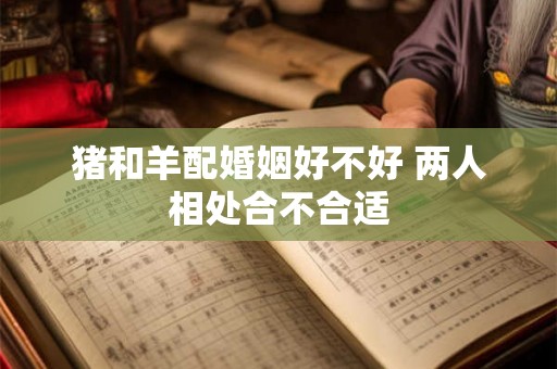 猪和羊配婚姻好不好 两人相处合不合适 猪和羊配婚姻好不好 两人相处合不合适