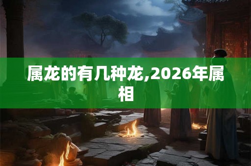 属龙的有几种龙,2026年属相