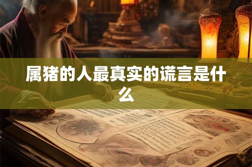 属猪的人最真实的谎言是什么 属猪的人最真实的谎言是什么