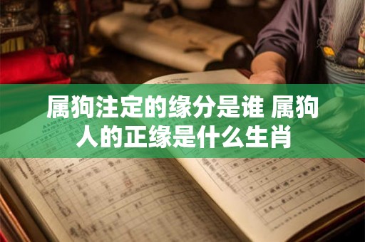 属狗注定的缘分是谁 属狗人的正缘是什么生肖