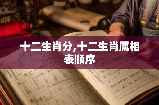 十二生肖分,十二生肖属相表顺序