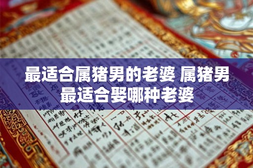 最适合属猪男的老婆 属猪男最适合娶哪种老婆