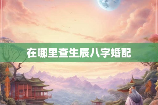 在哪里查生辰八字婚配