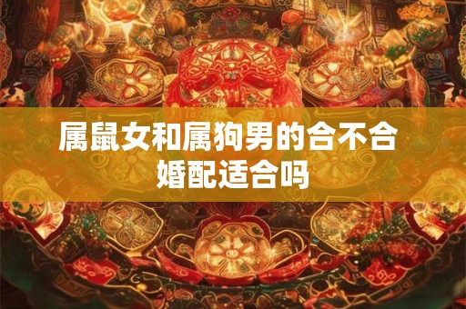属鼠女和属狗男的合不合 婚配适合吗