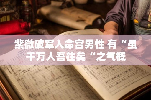 紫微破军入命宫男性 有“虽千万人吾往矣“之气概