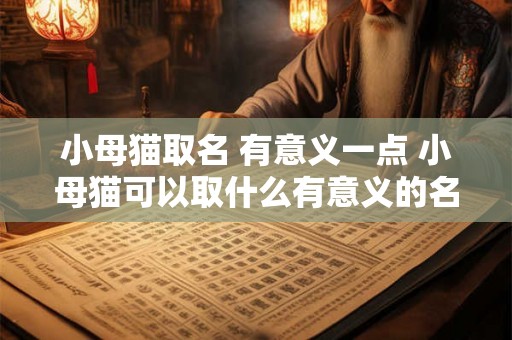 小母猫取名 有意义一点 小母猫可以取什么有意义的名字 小母猫取名 有意义一点 小母猫可以取什么有意义的名字