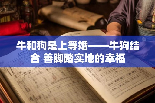 牛和狗是上等婚——牛狗结合 善脚踏实地的幸福
