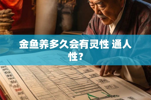 金鱼养多久会有灵性 通人性？